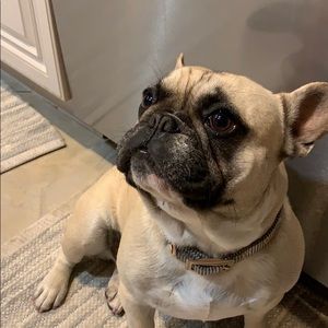 Meet your Posher, Rabiyah